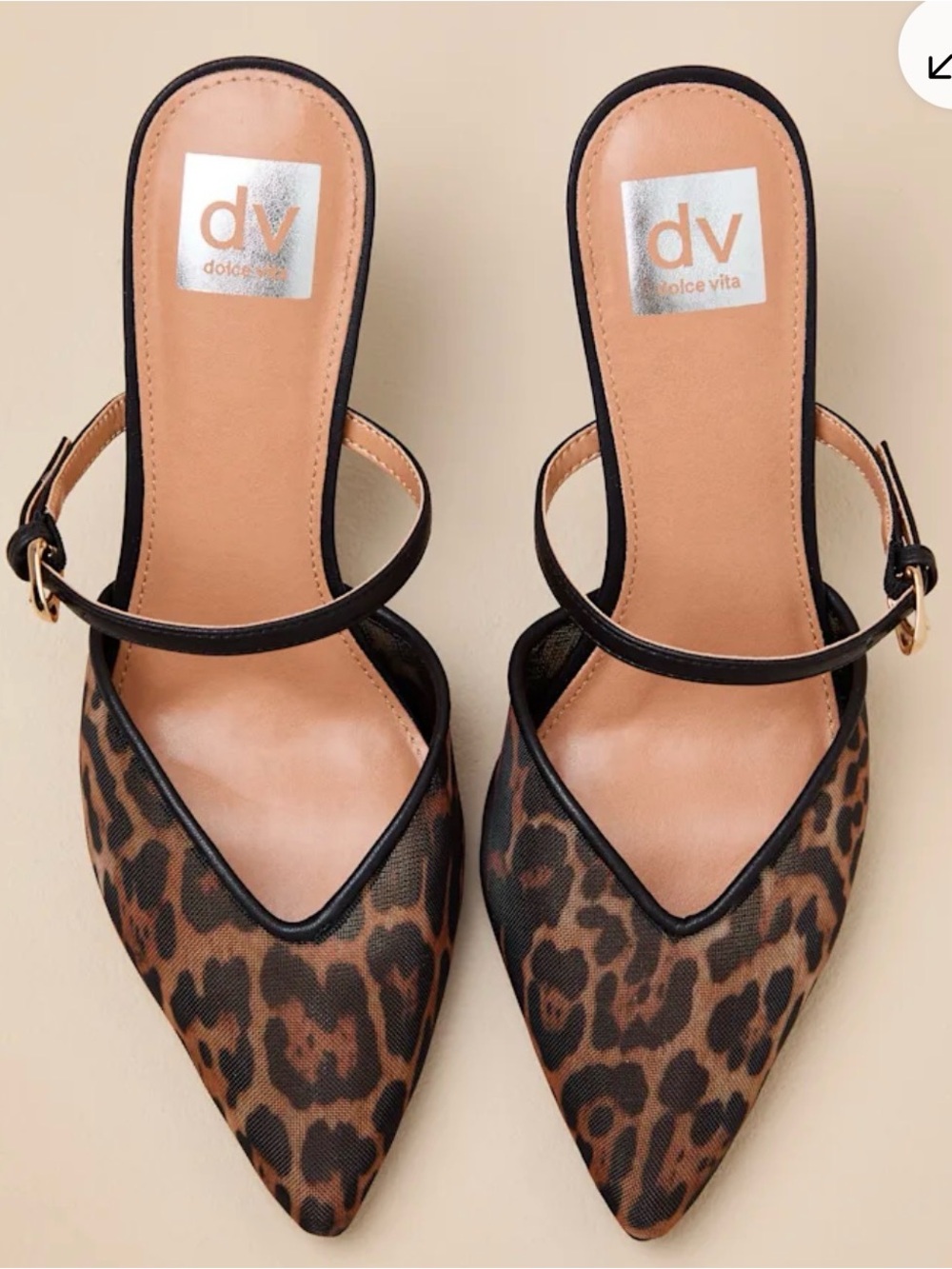Dolce Vita Leopard-Print Pointed Slingback Mules - Brown/Black